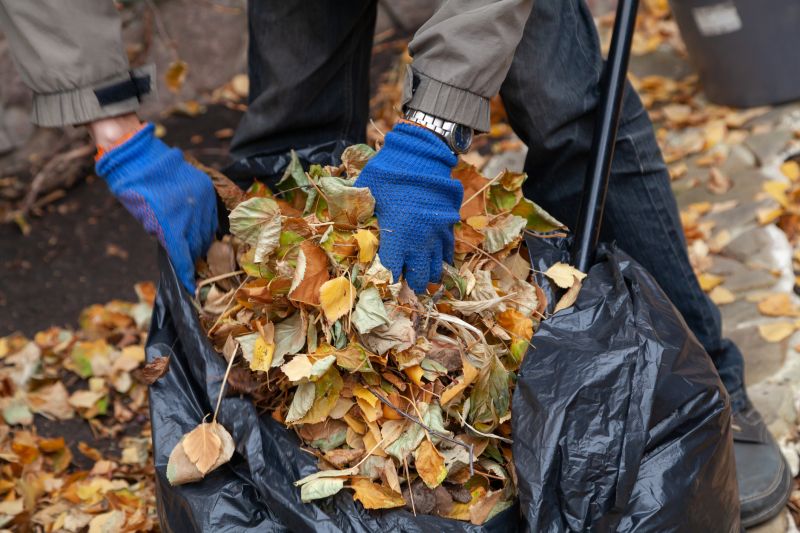 Leaf Clean Up