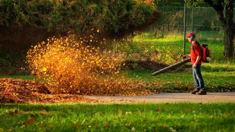 Leaf Clean Up