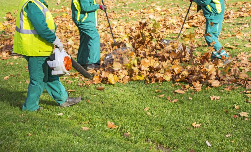 Cost of Leaf Clean Up — Cost of Leaf Clean Up