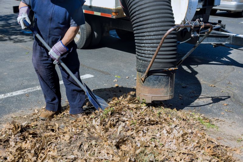 Cost of Leaf Clean Up — Cost of Leaf Clean Up