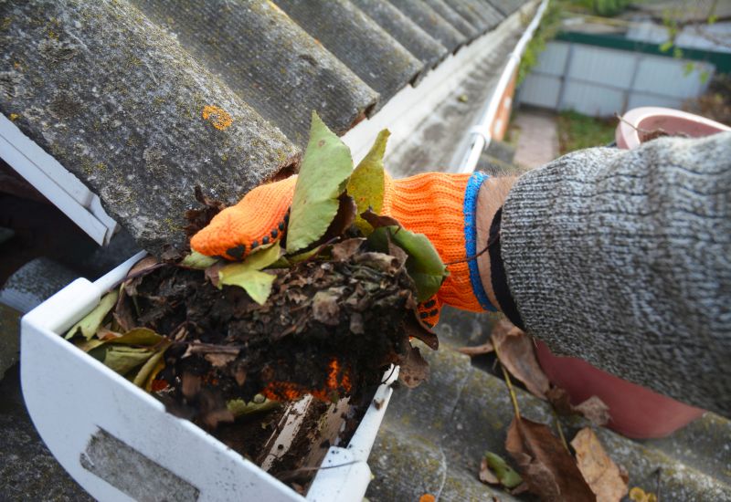 Cost of Leaf Clean Up — Cost of Leaf Clean Up
