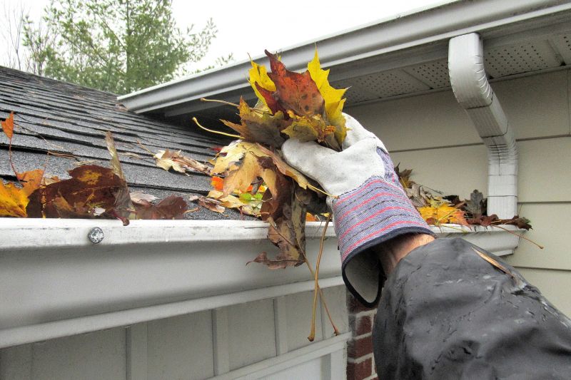 Cost of Leaf Clean Up — Cost of Leaf Clean Up