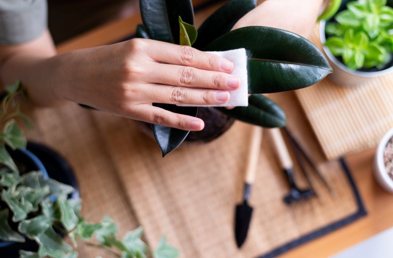 Cost of Leaf Clean Up — Cost of Leaf Clean Up