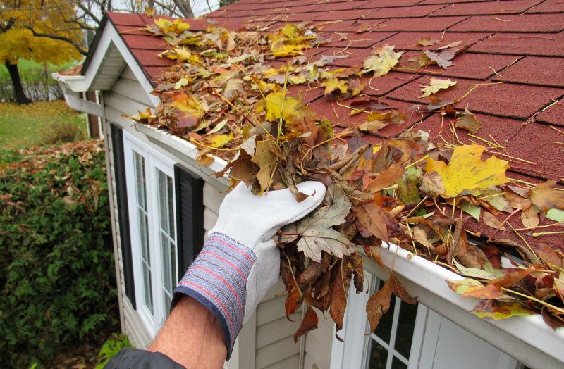 Cost of Leaf Clean Up — Cost of Leaf Clean Up
