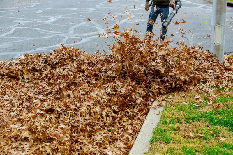 Efficient Leaf Blowing