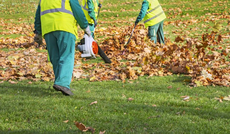 Leaf Pile Collection