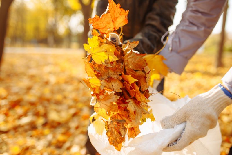 Fall Lawn Cleanup Service in Ventura County, CA