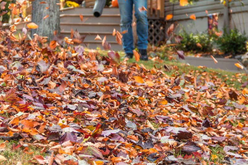 Landscaping Cleanup Service in Ventura County, CA