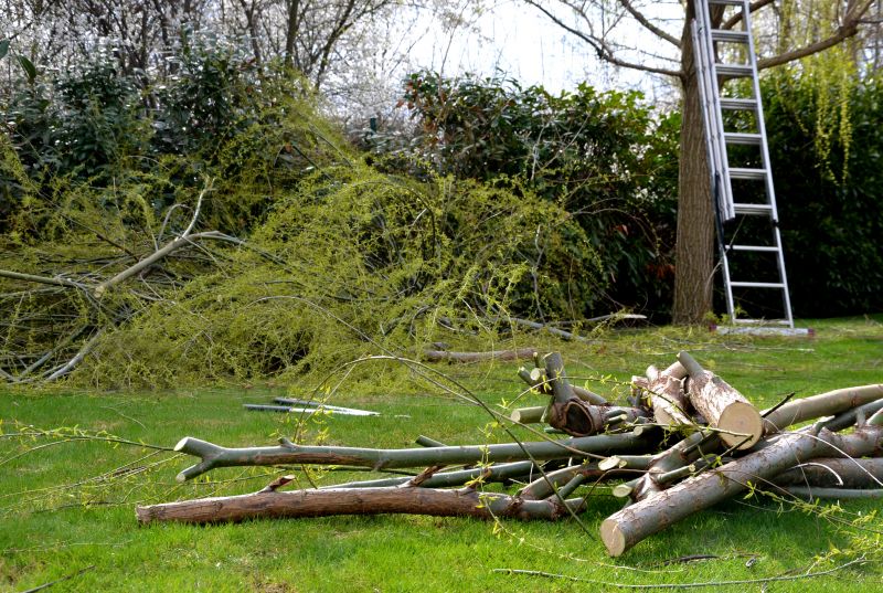Lawn Debris Cleanup in Ventura County, CA