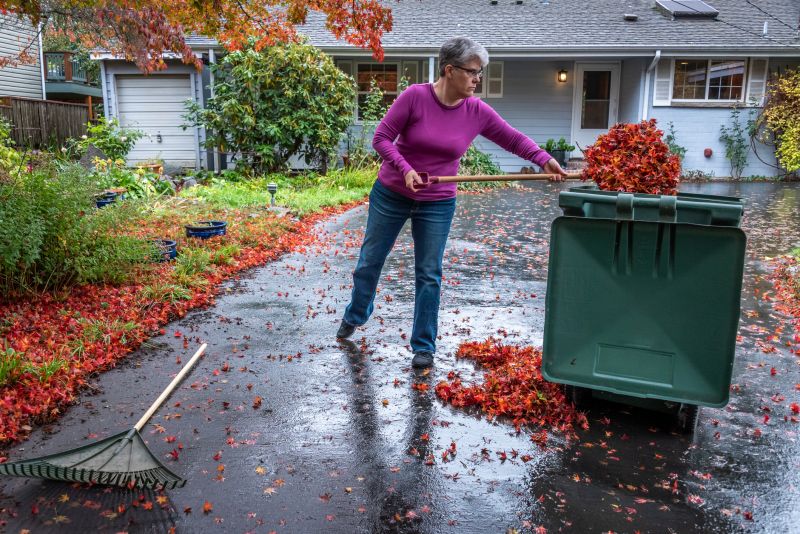 Leaf Cleanup Service in Ventura County, CA