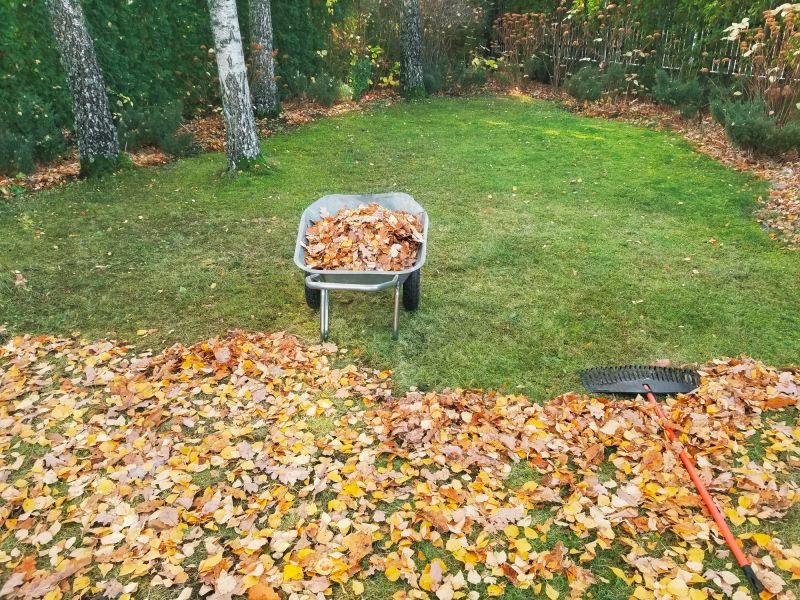 Leaf Removal in Honolulu, HI