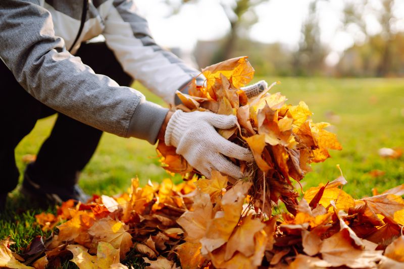 Leaves Vacuuming in Ventura County, CA