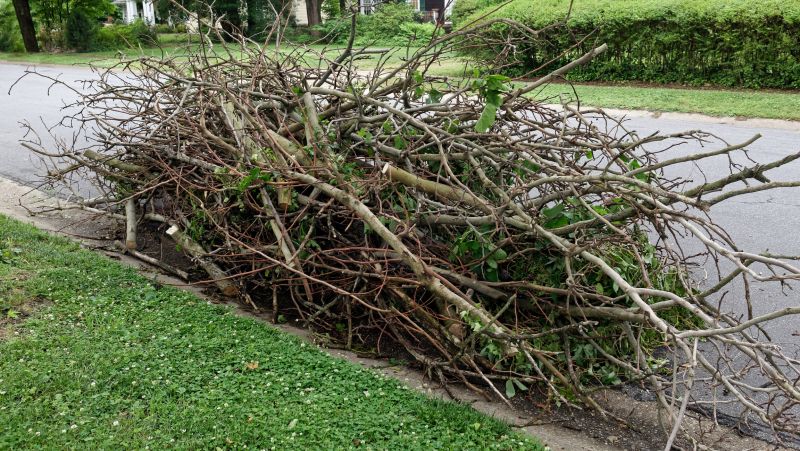Limbs Removal in Ventura County, CA