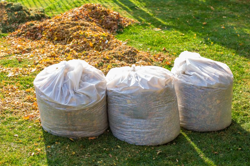 Seasonal Lawn Maintenance in Honolulu, HI