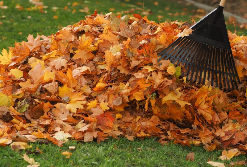 Seasonal Lawn Maintenance in Ventura County, CA
