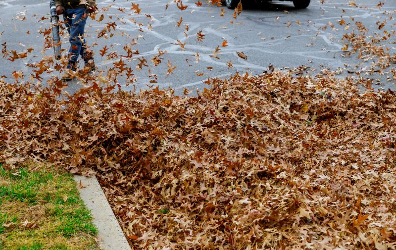 When to Hire for Leaf Clean Up