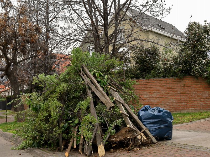Wood Pile Removal in Ventura County, CA