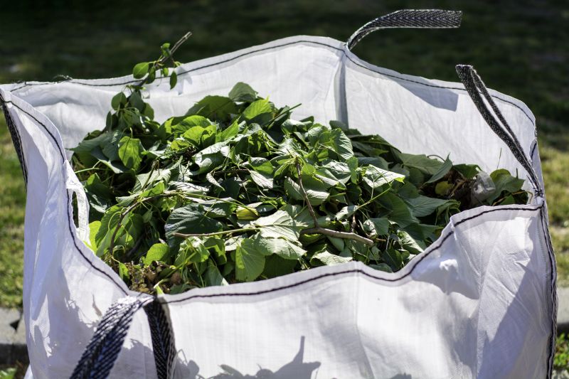 Yard Cleanup Service in Ventura County, CA