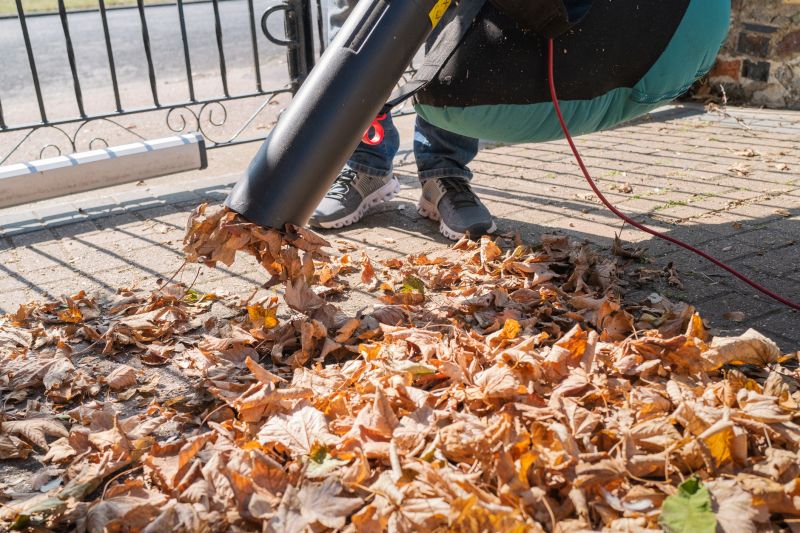 Leaves Vacuuming in Honolulu, HI