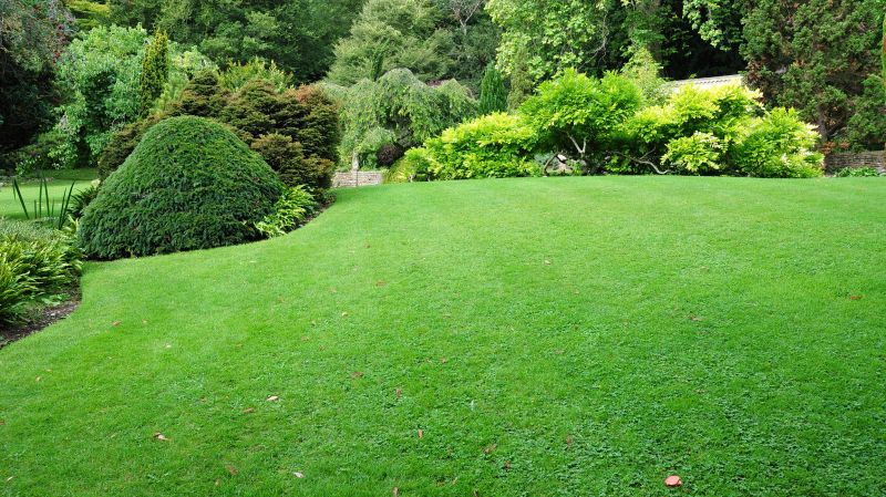 Park Landscaping in Ventura County, CA