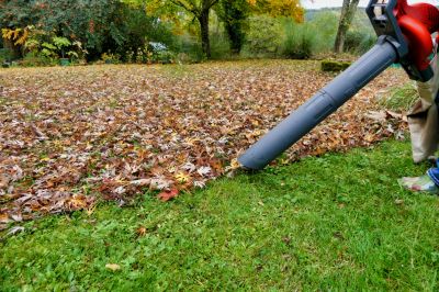 Lawn health