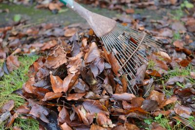 Pest prevention